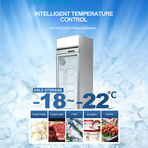 <span class=keywords><strong>Refrigerador</strong></span> Vertical Comercial de Alta Calidad con <span class=keywords><strong>2</strong></span> <span class=keywords><strong>Puertas</strong></span> para Alimentos Congelados, Helados y Congelados - Product Image 4