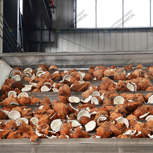 Secador de Banda Continua para Nuez de Areca, Supari, Nuez de <span class=keywords><strong>Betel</strong></span> y Coco - Deshidratador - Product Image 3