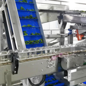 آلة متعددة الوظائف من ليدوورلد لتعبئة وتغليف وختم وتوسيم الخيار المخلل والفواكه المعلبة - Product Image 3