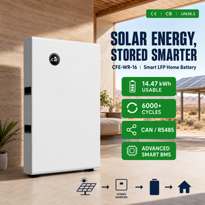 Batterie au lithium 16 kWh 51,2 V 314 Ah, système de stockage d'énergie domestique, batterie LiFePO4 pour <span class=keywords><strong>Pylontech</strong></span> Sungrow Sofar Solis Luxpower - Product Image 1