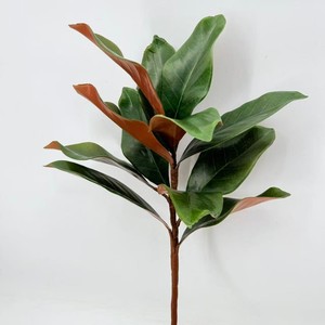 工厂人造柔软触感玉兰叶枝绿叶仿真玉兰茎 - Product Image 2
