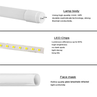 DE EU Warehouse CE ROHS T8 lampu Led dalam ruangan kantor 210lm/W 180lm/W 60 120 150cm kaca T8 lampu tabung Led