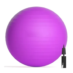 Umwelt freundliche benutzer definierte Logo-Verpackung Anti-Burst-Fitness-Übung Stabilität PVC-Yoga-Ball 65cm