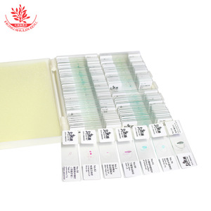 Juego de 100 Portaobjetos con Especímenes de Plantas para Estudiantes de Primaria y Secundaria: Estructuras Típicas, Color Rojo Zafiro Claro y Verde Rápido - Product Image 1