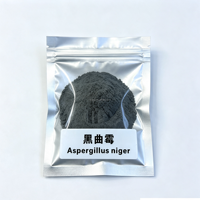 Poudre Fongique Thermo-Stable Résistante aux Granulés Aspergillus Niger 5 Milliards UFC/g Additif Alimentaire pour l'Alimentation des Volailles et du Bétail en Granulés à Haute Température