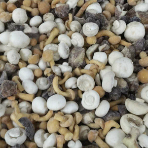 Sinocharm HACCP, venta al por mayor de ostras, <span class=keywords><strong>Boletus</strong></span> <span class=keywords><strong>Edulis</strong></span>, setas mixtas congeladas Bleand IQF Mix, setas de China - Product Image 3
