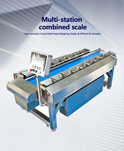 Balance combinée multi-stations à fonctionnement stable : équipement essentiel pour l'emballage des grains de café finis - Product Image 4