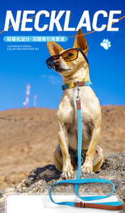 पलायन-प्रूफ नायलॉन ठोस प्रशिक्षण कॉलर और छोटे और मध्यम कुत्तों के लिए रिबन के साथ सेट-फैशन सरल आधुनिक - Product Image 5