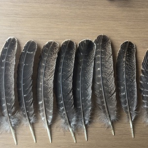 Nhuộm Màu Đen Màu Xanh Trắng Nguyên Liệu Đầy Màu Sắc Số Lượng Lớn Hoa Plumas Tự Nhiên Chim Cánh Điểm Lông Lông Đuôi Thổ Nhĩ Kỳ Lông Để Bán Hat Trang Trí - Product Image 1