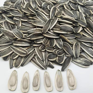 Graines de tournesol rayées brutes en gros d'usine, graines de melon séchées de haute qualité, sans additifs, certifiées ISO, emballées sous vide, durée de conservation 12 mois - Product Image 2