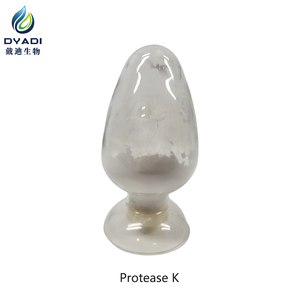 Proteinase K de qualité réactif pour la dégradation des protéines dans l'extraction des acides nucléiques - Product Image 4