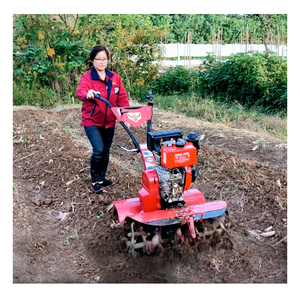 4WD DIESEL 7HP làm cỏ & <span class=keywords><strong>tilling</strong></span> máy nhỏ tu cho trang trại & Home sử dụng New Power tiller - Product Image 2
