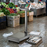 Plataforma Digital Industrial, Báscula Colgante de Acero de 150 kg con Pantalla LCD/LED, Precisión de 50 g, para Tiendas de Productos Frescos