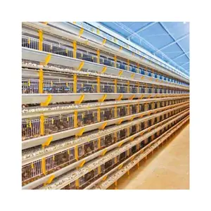 Patented Equipment Layer Quail Breeding Cages With Automatic Remove The Manure System