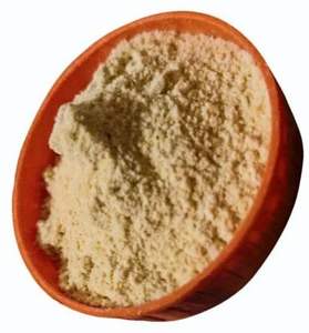 Extrait de Boswellia Serrata Biologique Résine de Frankincense Premium en Poudre Ingrédient Botanique Naturel pour la Production d'Aliments Fonctionnels - Product Image 6