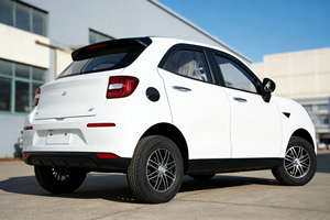 Vehículo Eléctrico <span class=keywords><strong>de</strong></span> 3600w 72v para Personas Mayores, Sin Necesidad <span class=keywords><strong>de</strong></span> <span class=keywords><strong>Licencia</strong></span> <span class=keywords><strong>de</strong></span> <span class=keywords><strong>Conducir</strong></span>, con Logotipo y Color Personalizados, para Movilidad en Zonas Rurales - Product Image 6