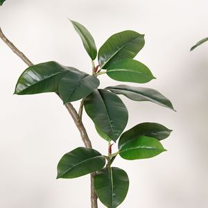 Arbre artificiel en caoutchouc Dream Castle, 100cm-200cm, grande plante verte sur pied pour la décoration du salon - Product Image 2