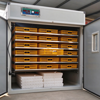 Incubateur Commercial Automatique pour 5000-50000 Œufs de Poule, Équipement d'Éclosion Avicole
