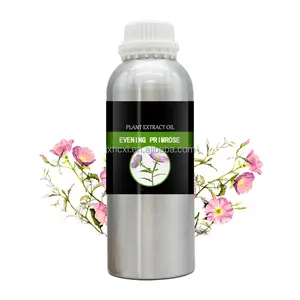 Plantenextract 100% Natuurlijke Teunisbloemolie Met Rijke Gla Voor Bulkverkoop Van Hoge Kwaliteit In Kruidenextract