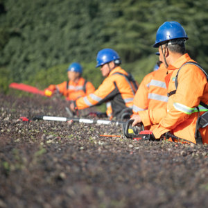 NPLUS Suitable Shrubs Bushes Easy to Operate High Power Electric <strong>Hedge</strong> Trimmer Machine Professional High Efficient <strong>Hedge</strong> Cutter - Product Image 3