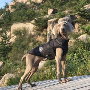 Cappotto <span class=keywords><strong>di</strong></span> Lusso per Cani, Giacca Rinfrescante <span class=keywords><strong>di</strong></span> Design Premium, per Razze Grandi e Piccole, Personalizzabile OEM, Abbigliamento Invernale per Cani - Product Image 1