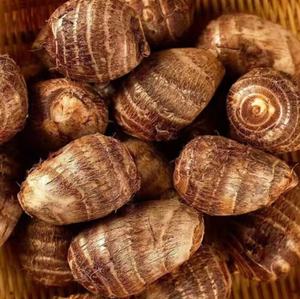 Nuovo sano raccolto <span class=keywords><strong>cinese</strong></span> <span class=keywords><strong>Taro</strong></span> radice di verdure fresche fresche e essiccate all'aria <span class=keywords><strong>Taro</strong></span> congelato <span class=keywords><strong>Taro</strong></span> per la vendita - Product Image 4