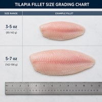 Filet de Tilapia IQF Congelé Premium Sans Peau et Sans Os 2-3oz 3-5oz 5-7oz Riche en Protéines Origine Chine Poisson Congelé en Vrac pour la Vente en Gros