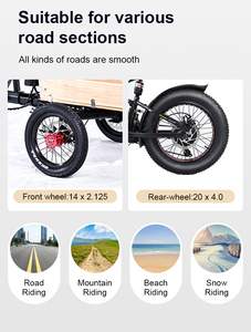 <span class=keywords><strong>Vélo</strong></span> <span class=keywords><strong>cargo</strong></span> <span class=keywords><strong>électrique</strong></span> rétro pour familles, vente directe d'usine, tricycle <span class=keywords><strong>électrique</strong></span> pour 1 personne, 500w 750w, vélos <span class=keywords><strong>cargo</strong></span> <span class=keywords><strong>électrique</strong></span>s - Product Image 6