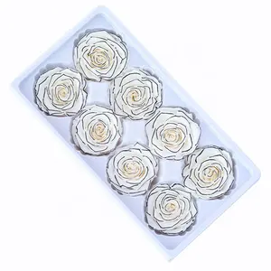 New Preserved Rose White with Black Rim Preserved Flower Lace Roses 4-5cm Buds