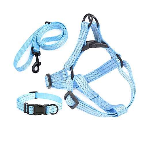 Reflective Solid Blue