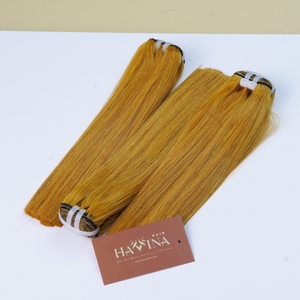 Extensions de cheveux humains Remy vietnamiens doublement étirés, mèches teintées 2x6 avec closure, tissages de cheveux lisses comme des baguettes, cuticules alignées, 100% naturels - Product Image 2
