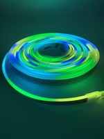 Ruban LED néon RGB adressable ultra-fin 4x8mm, DC5V, indice de protection IP67, dimmable, en silicone pur
