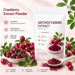 Extrait de canneberge de haute qualité 25% anthocyanes E163 Poudre antioxydante Soutien immunitaire 100g Adultes Certifié Halal ISO22000 - Product Image 3