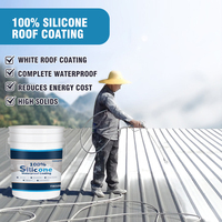 Revêtement imperméable liquide en caoutchouc de silicone pour toiture et terrasse, extra flexible, 30 ans, avec une haute résistance aux UV