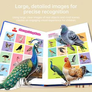 USB C Có Thể Sạc Lại Điều Khiển Cảm Ứng Trẻ Em Của In Ấn Cuốn Sách Âm Thanh Cuốn Sách Học Tập Sớm Âm Thanh Cuốn Sách Tiếng Anh Từ Cho Trẻ Em - Product Image 2