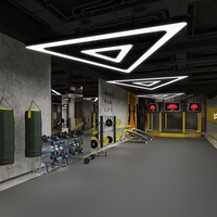 Éclairage décoratif Liner Lights Suspension Triangles Suspension Lumière Connectable LED Plafonnier Suspendu pour Salle de Jeu Gym