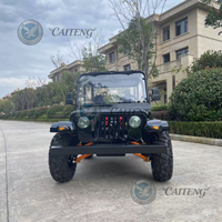 Caiteng 200cc 250cc Mini Jeep à essence/électrique 2 places 4x4 Transmission automatique Garantie de 2 ans Buggy de plage Golf Tout-terrain