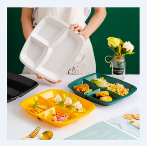 Assiettes nordiques à <span class=keywords><strong>3</strong></span> compartiments en porcelaine céramique mate pour adultes - Product Image 1