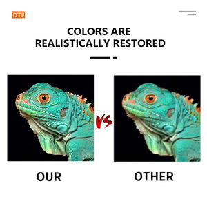 Goto Color Venta Directa de Fábrica 60cm DTF Impresora Automática de Inyección de Tinta DTF para Impresión de Camisetas - Product Image 6