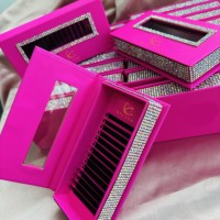 Vente en Gros YY W Forme 3D-6D Volume Faux Cils Individuels 3D 4D 5D Trèfle Extensions de Cils PBT Matériel Marque Privée