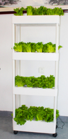 Système de jardinage hydroponique vertical intérieur à trois étages, vente directe du fabricant, idéal pour la culture domestique avec pompe de plantation