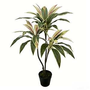 Árbol de Hierro de Sangre de Dragón de Simulación Bicolor Zhu Jiao para Decoración de Escenas de Hotel, Navidad y Graduación - Product Image 1