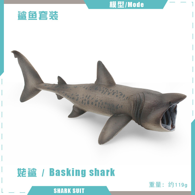 PL127-2815 basking shark 119g