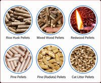Chaîne de production de granulés de bois super résistante en acier épaissi pour la transformation des déchets biomassiques