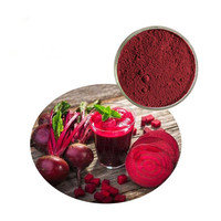 Extrait de poudre de betterave rouge Pigment naturel racine de betterave poudre rouge E30 poudre de couleur rouge de betterave