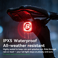 ROCKBROS Q2 MAX Lampu Belakang Sepeda Pintar dengan Sensor Rem, Nyala/Mati Otomatis, Tampilan Kustom & 4 Mode USB-C