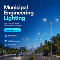 Farola LED Solar de CC de 60W, IP66, Certificación CCC, CE, RoHS, Batería Lifepo4, Aluminio, Garantía de 5 Años, para Carreteras, Jardines, Montaje en Pared