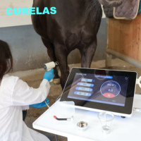Appareil de thérapie laser vétérinaire professionnel, équipement de thérapie laser de classe 4 pour la cicatrisation des plaies chez les chiens, les chats et les animaux de compagnie, et les blessures sportives