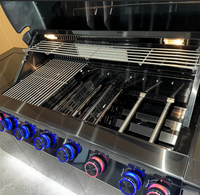 Cuisine extérieure moderne et luxueuse, barbecue encastré en acier inoxydable, barbecue au gaz naturel
