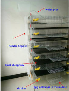 Gabbia Resistente in Rete Metallica per Quaglie/Sistema di Gabbie in Batteria per Pollame HJ-QC400A - Product Image 4